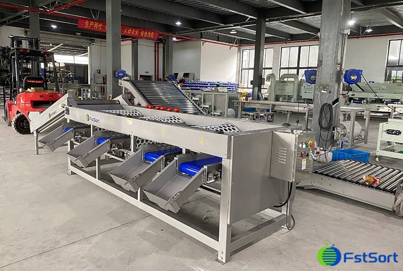 images/1691136659135Saffron Corms sorter.jpg